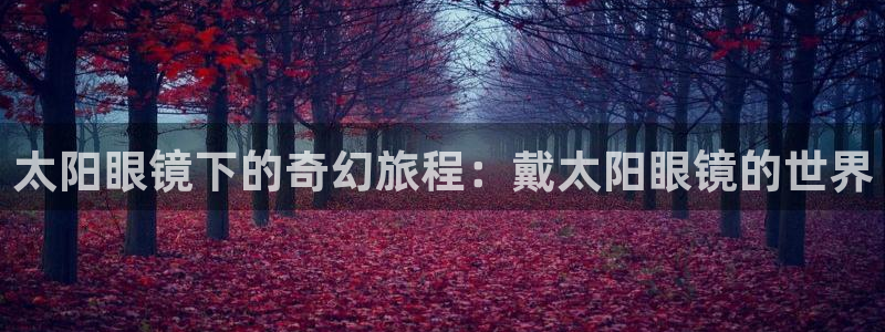 卧龙娱乐挂机平台