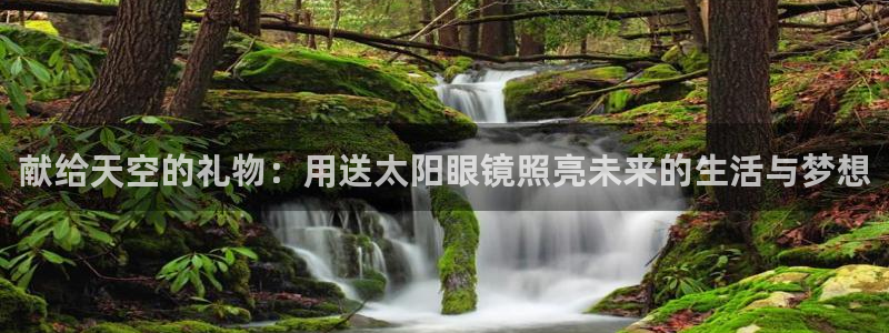 卧龙区维也纳娱乐会所