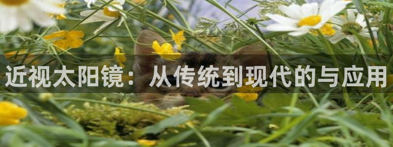 创亿娱乐d卧龙313322
