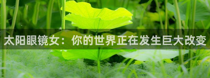旗下卧龙娱乐