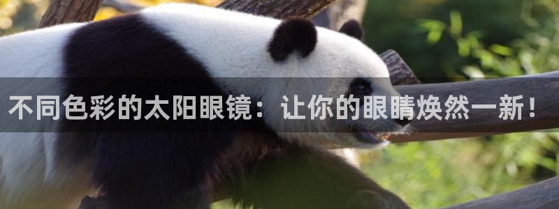 厦门卧龙台球娱乐会所