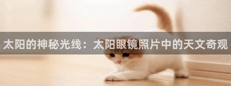 卧龙娱乐主管