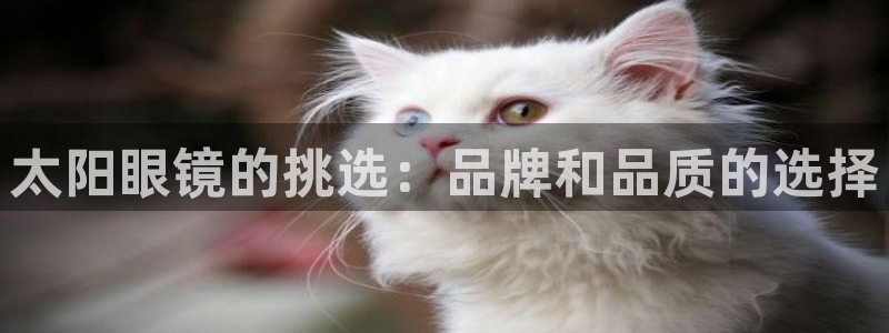 卧龙娱乐过山车
