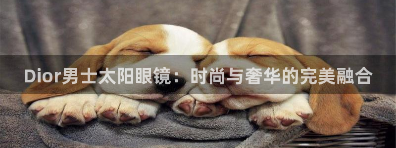 卧龙2娱乐