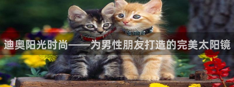 卧龙凤雏娱乐减肥