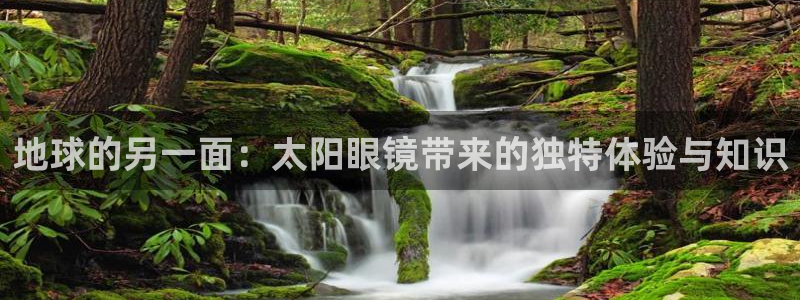 肥羊娱乐卧龙凤雏