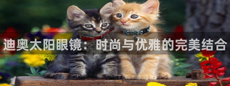 卧龙娱乐qv396667