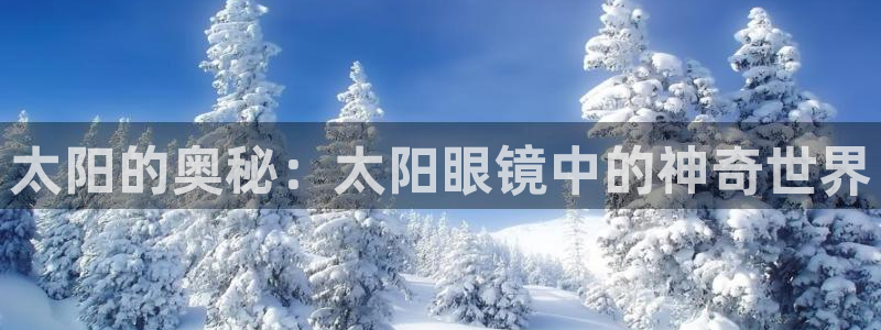 卧龙2娱乐