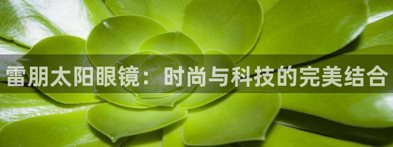 卧龙2娱乐