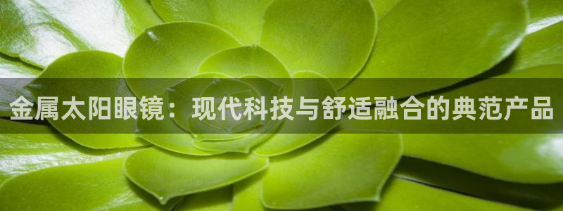 超越娱乐b卧龙313322