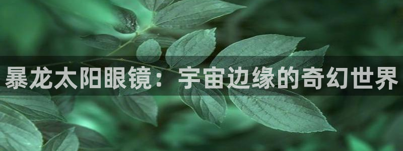 卧龙娱乐怎样注册