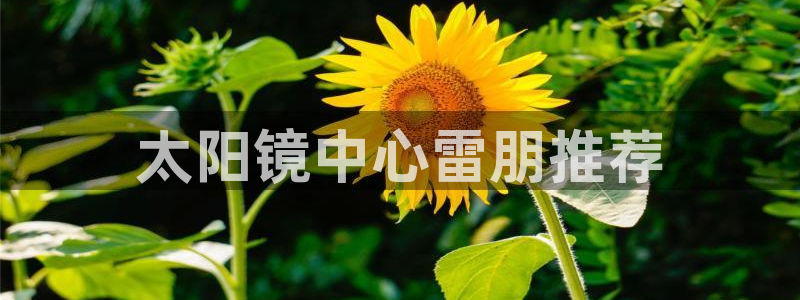 sky娱乐畅通卧龙86877