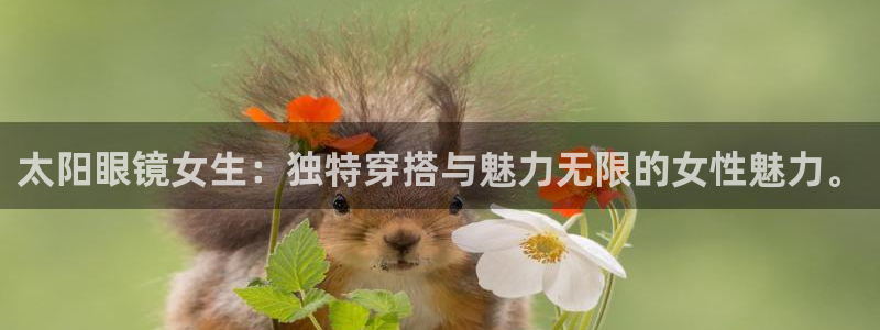 SKY娱乐卧龙主管60447