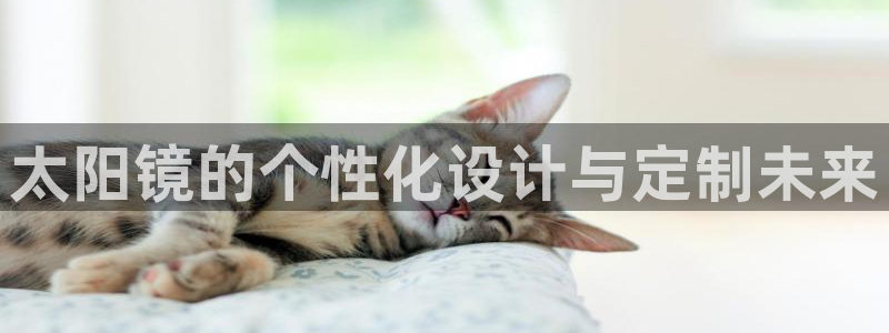 卧龙娱乐注册开户地址