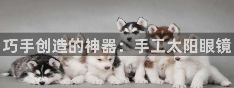 卧龙娱乐总代理电话