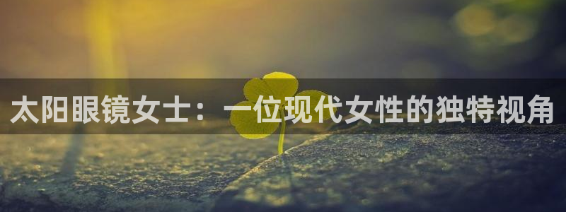 卧龙2神机娱乐攻略