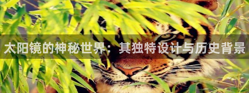 卧龙台球娱乐会所翔安