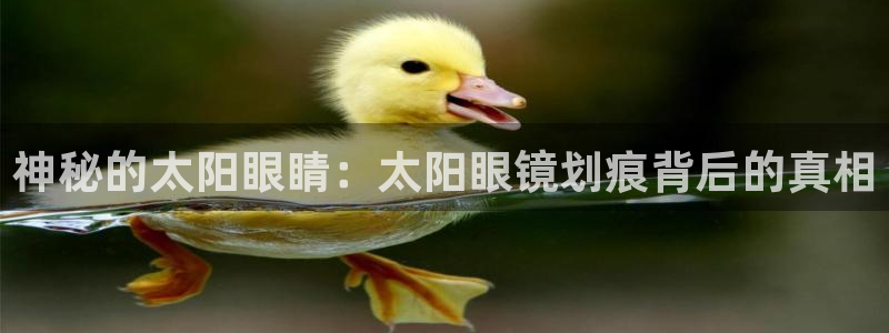 卧龙吟娱乐将