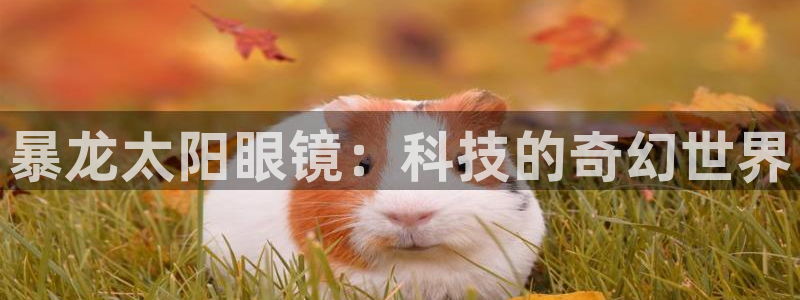 sky娱乐 扣卧龙60447