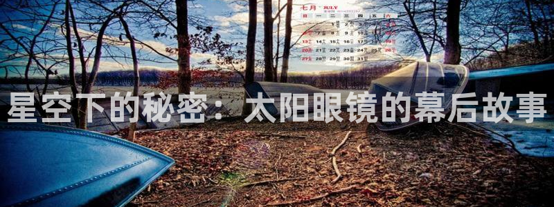SKY娱乐 卧龙主管60447