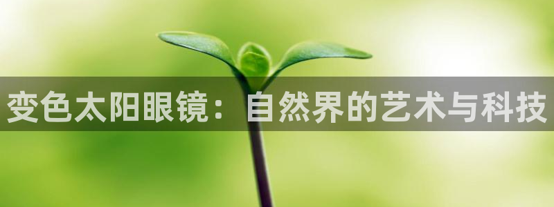 卧龙儿童娱乐海洋球