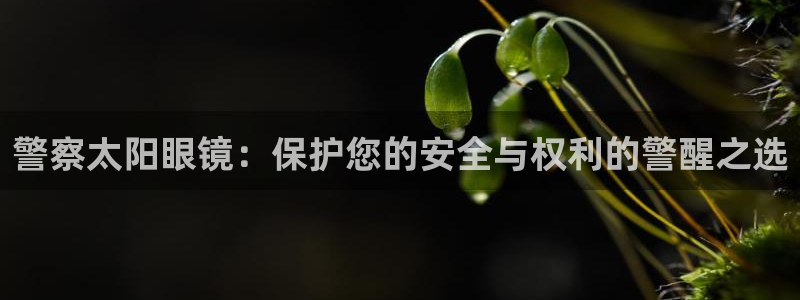 卧龙游乐娱乐设备