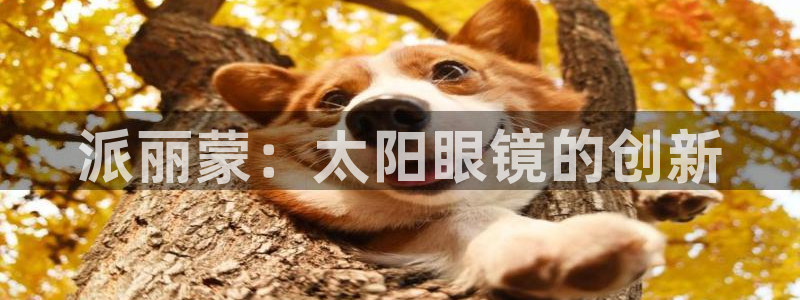 柏林娱乐 柏林卧龙 0