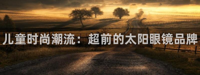 卧龙娱乐设备公司