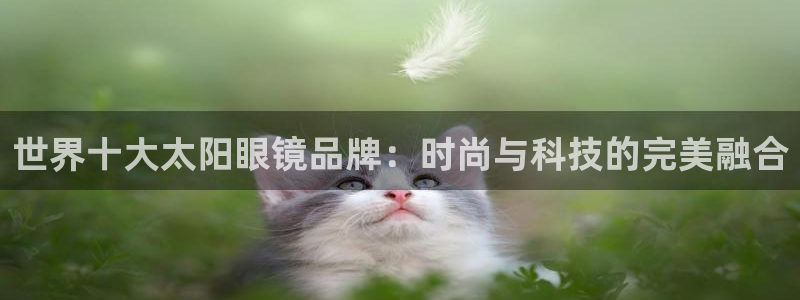 sky娱乐- 0 47卧龙