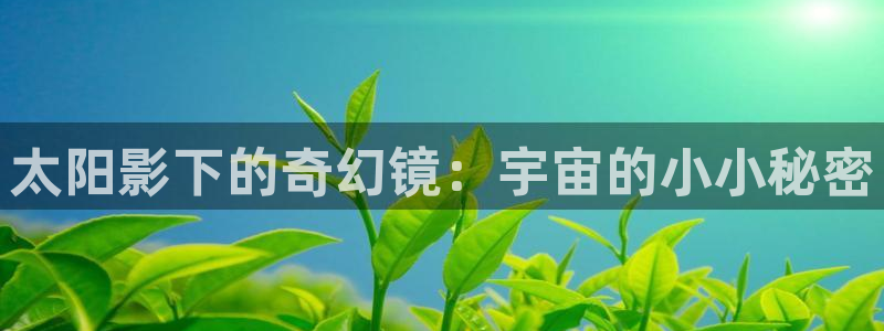 厦门卧龙台球娱乐会所