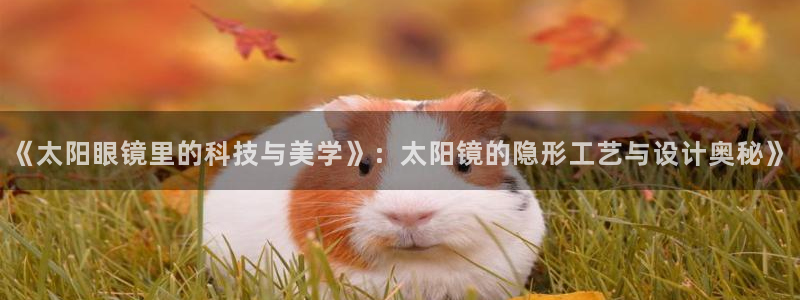 娱乐小卧龙