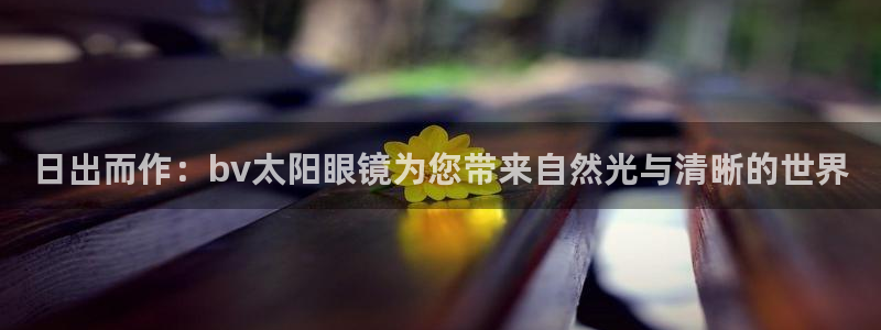 卧龙环岛儿童娱乐