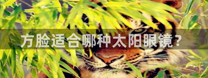 卧龙凤雏娱乐运城