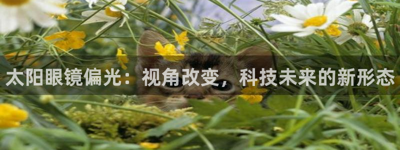 柏林娱乐- 0 卧龙