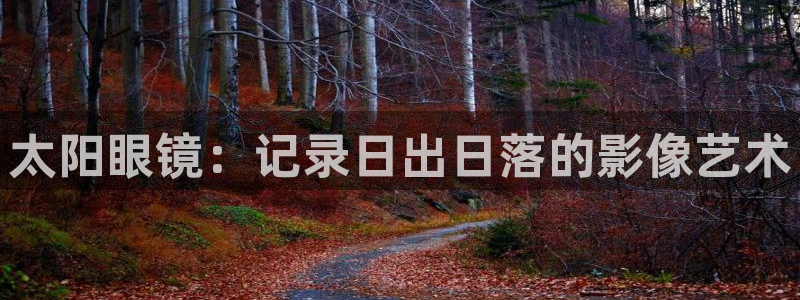 卧龙沙滩蹦床娱乐