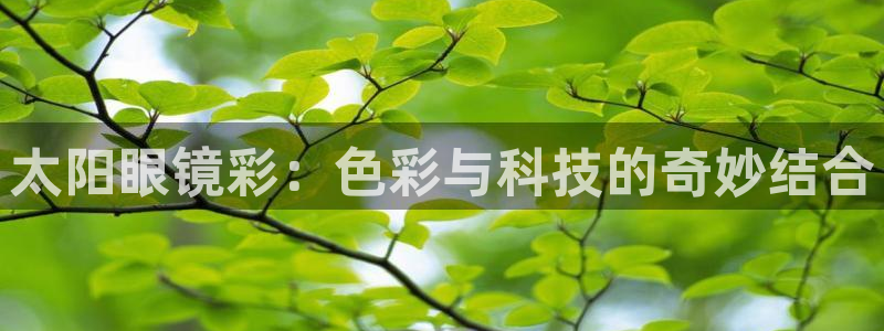 卧龙娱乐下载安装