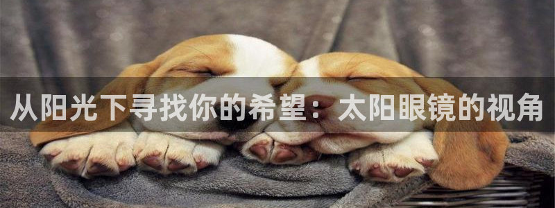 杏耀娱乐 0 47卧龙