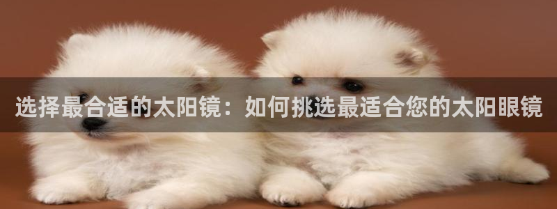 卧龙娱乐直播间