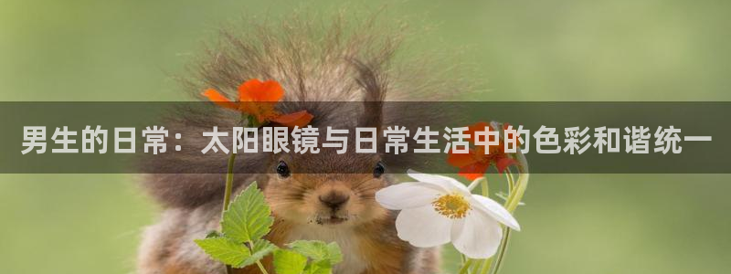 we娱乐 卧龙股东60447