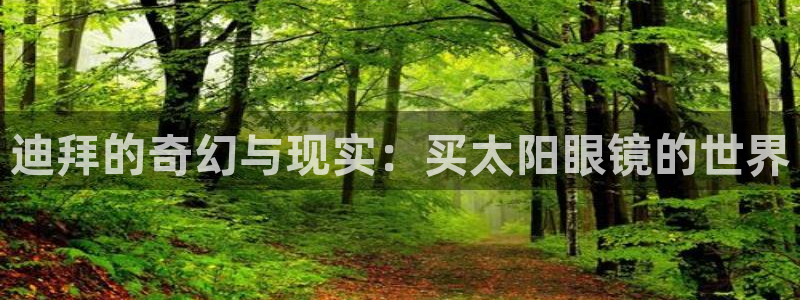 卧龙娱乐是哪个系列