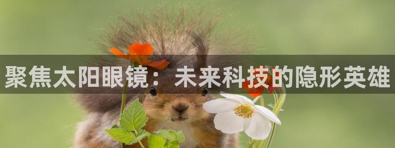 卧龙娱乐app下载安装