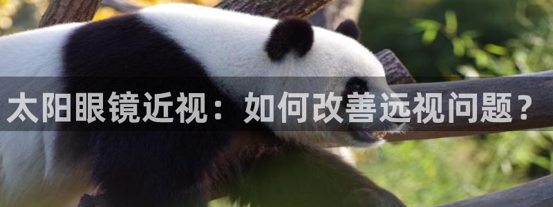 卧龙娱乐是什么意思