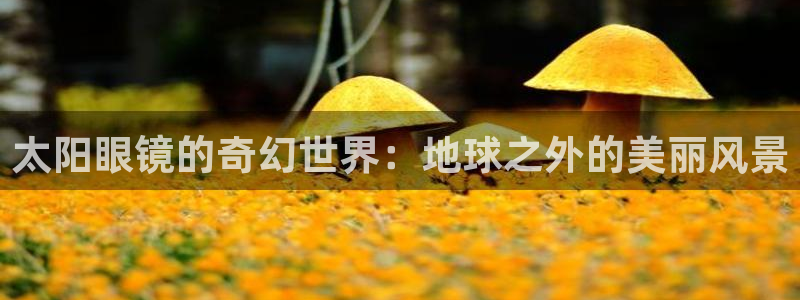 卧龙娱乐老板是谁