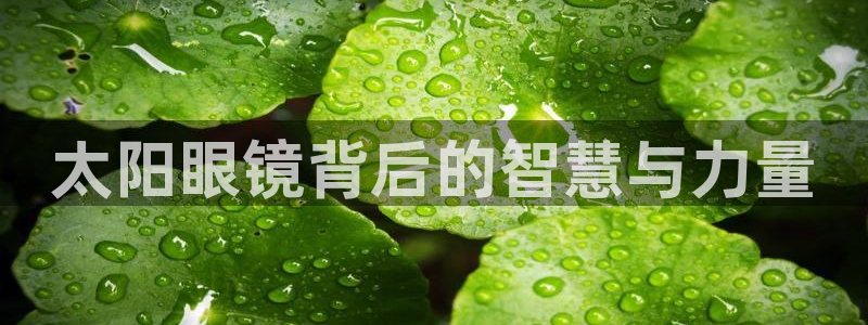 卧龙凤雏娱乐 小辣椒