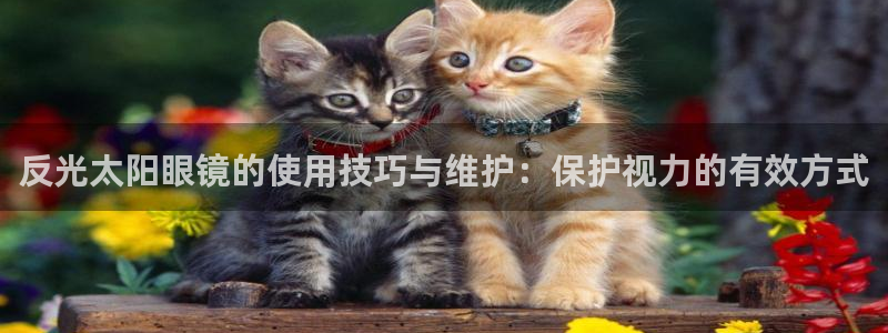 卧龙娱乐主管是谁