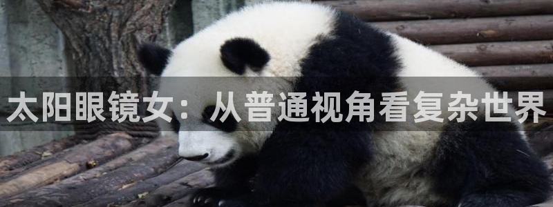 南阳卧龙娱乐城