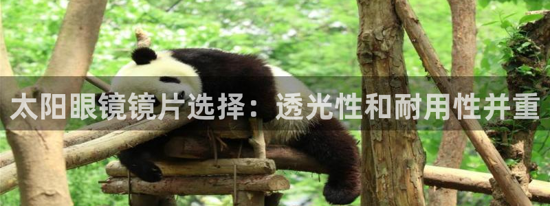 卧龙娱乐在线直播网页