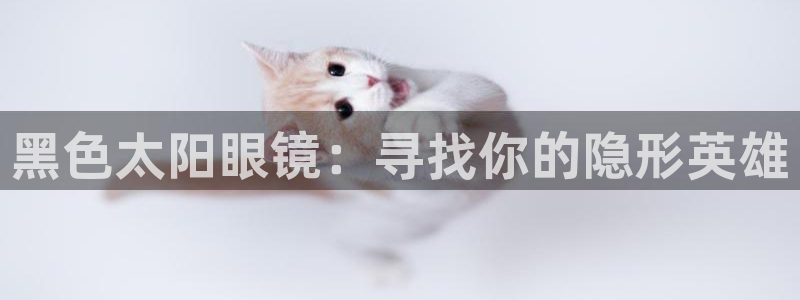 卧龙区社交娱乐