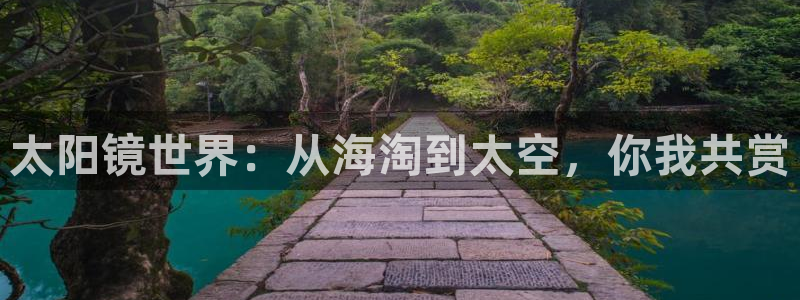 卧龙娱乐设备公司