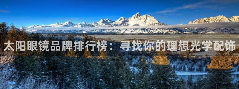 卧龙娱乐招商主管工资